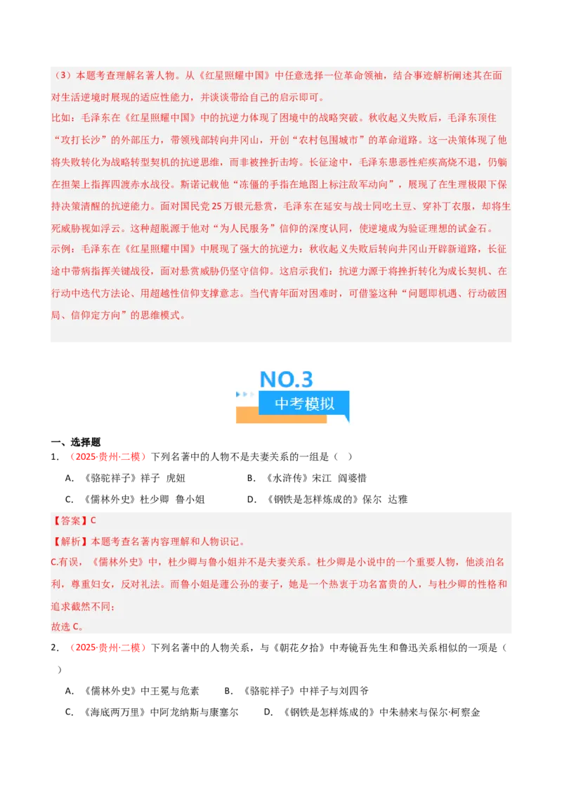 第11讲《儒林外史》整本书阅读(练习）（解析版）_中考复习资料_语数英物化_1语文中考复习_2026年中考复习（更新中）_2026年中考语文一轮复习名著阅读