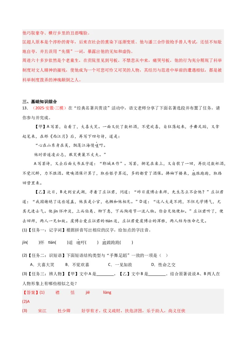 第11讲《儒林外史》整本书阅读(练习）（解析版）_中考复习资料_语数英物化_1语文中考复习_2026年中考复习（更新中）_2026年中考语文一轮复习名著阅读