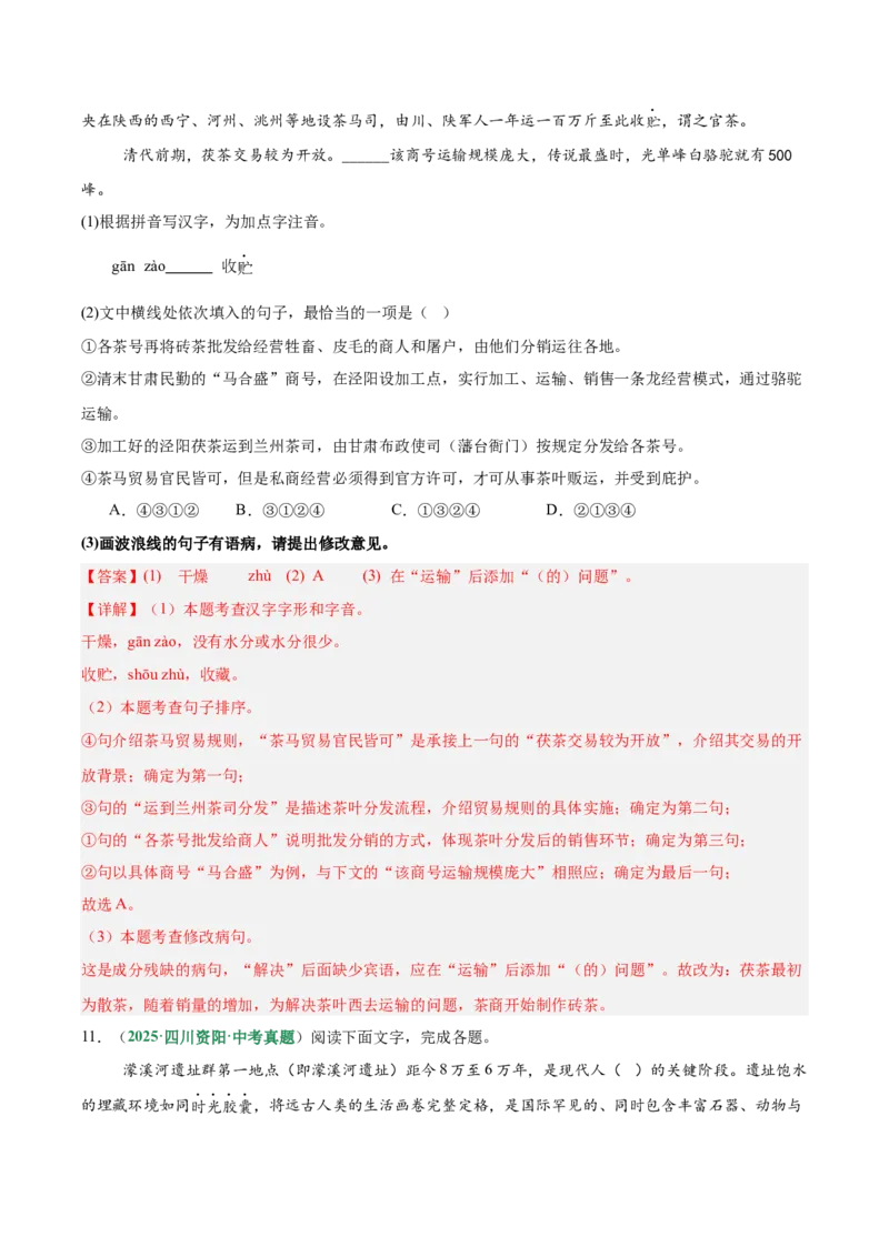 第03讲句子：标点、修辞、病句与单复句（专项训练）（解析版）_中考复习资料_语数英物化_1语文中考复习_2026年中考复习（更新中）_2026年中考语文一轮复习讲练测（全国通用）