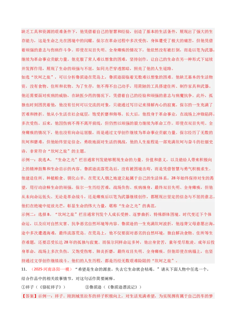 第02讲《鲁滨逊漂流记》整本书阅读(练习）（解析版）_中考复习资料_语数英物化_1语文中考复习_2026年中考复习（更新中）_2026年中考语文一轮复习名著阅读