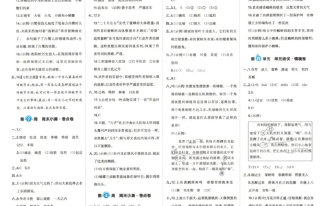 一本周末小测卷三年级下册语文（答案）_周末预测小卷_2026《一本&bull;周末小测卷》语文_赠送：小学语文《一本&bull;周末小测卷》2025春