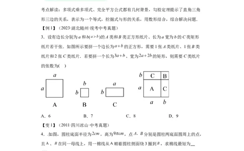 模块三思想全把握专题4数形思想2024年中考数学二轮专题复习训练（含解析）_中考复习资料_语数英物化_2数学中考复习_2024年中考复习资料_二轮复习