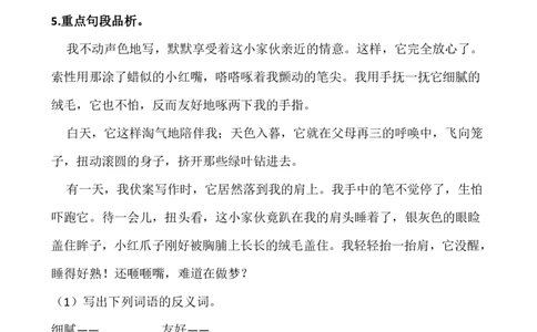 五年级阅读专项训练习题50道_语文人教阅读50题