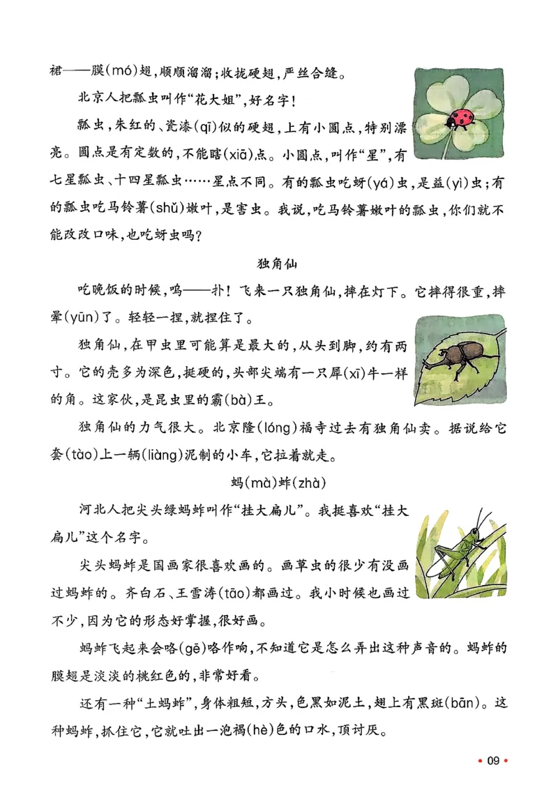三年级语文下册人教版26春《一本预备》_2026春小学教辅大合集_4-26春《一本》系列_26春《一本预备》系列_26春语文人教版《一本预备》下册_三年级语文下册人教版26春《一本预备》