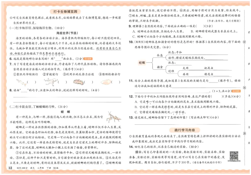 三下语文王朝霞培优100分_2026春小学教辅大合集_8-26春《王朝霞》系列_04.2026春WZX培Y100分数学语文人教1-6年级下册_语文《王朝霞培优100分》26春