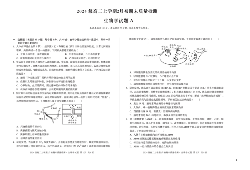 2024级高二上学期2月初期末质量检测生物A_2026年02月高二试卷_260214安徽省A10联盟2024级高二上学期2月初期末质量检测（全科）