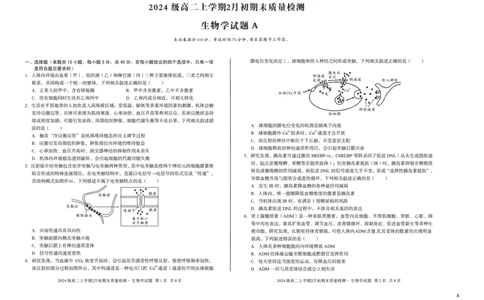 2024级高二上学期2月初期末质量检测生物A_2026年02月高二试卷_260214安徽省A10联盟2024级高二上学期2月初期末质量检测（全科）