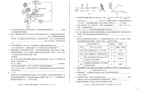 2024级高二上学期2月初期末质量检测生物A_2026年02月高二试卷_260214安徽省A10联盟2024级高二上学期2月初期末质量检测（全科）