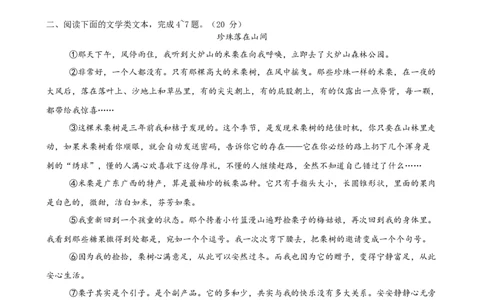 语文（武汉卷）（考试版A4）_中考复习资料_语数英物化_1语文中考复习_赠送：2025中考模拟题_2025年语文押题预测_语文（武汉卷）-2025年中考押题预测卷