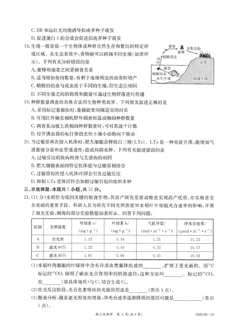 内蒙古赤峰市翁牛特旗乌丹二中等校联考2025-2026学年高二上学期生物期末试卷内蒙古赤峰市翁牛特旗乌丹二中等校联考2025-2026学年高二上学期生物期末试卷_2026年02月高二试卷