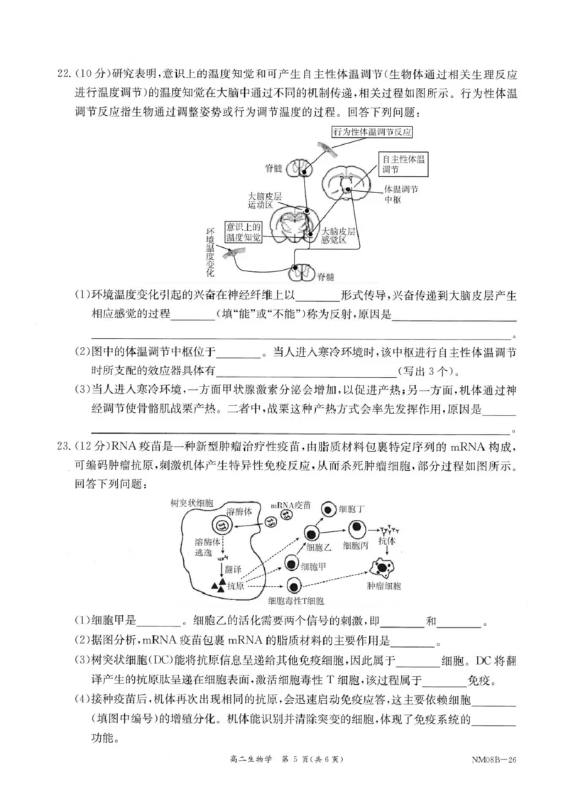 内蒙古赤峰市翁牛特旗乌丹二中等校联考2025-2026学年高二上学期生物期末试卷内蒙古赤峰市翁牛特旗乌丹二中等校联考2025-2026学年高二上学期生物期末试卷_2026年02月高二试卷