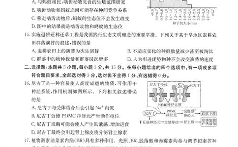 内蒙古赤峰市翁牛特旗乌丹二中等校联考2025-2026学年高二上学期生物期末试卷内蒙古赤峰市翁牛特旗乌丹二中等校联考2025-2026学年高二上学期生物期末试卷_2026年02月高二试卷