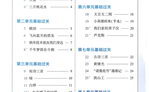 四下基础通关册五星学霸语文_2026春人教语文《五星学霸》_26春《五星学霸》语文4下