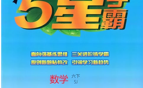 苏教数学6下_2026春小学教辅大合集_9-26春《经纶学霸》系列_26春《五星学霸》语数英系列_26春《五星学霸》数学苏教下册_2026春《五星学霸》数学SJ6下