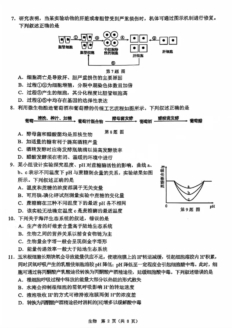 A类2025学年第一学期高二期末质量评价题库生物_2026年02月高二试卷_260208浙江省温州市2025-2026学年高二上学期期末（A卷+B卷）（全）_浙江省温州市2025-2026学年高二上学期期末试题A卷