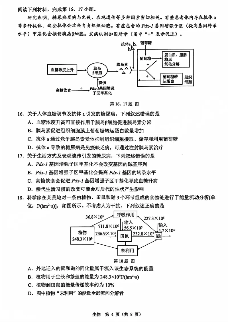 A类2025学年第一学期高二期末质量评价题库生物_2026年02月高二试卷_260208浙江省温州市2025-2026学年高二上学期期末（A卷+B卷）（全）_浙江省温州市2025-2026学年高二上学期期末试题A卷