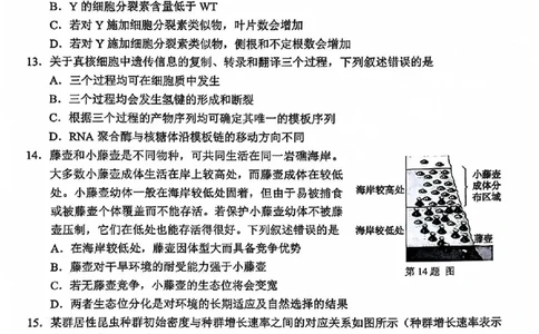 A类2025学年第一学期高二期末质量评价题库生物_2026年02月高二试卷_260208浙江省温州市2025-2026学年高二上学期期末（A卷+B卷）（全）_浙江省温州市2025-2026学年高二上学期期末试题A卷