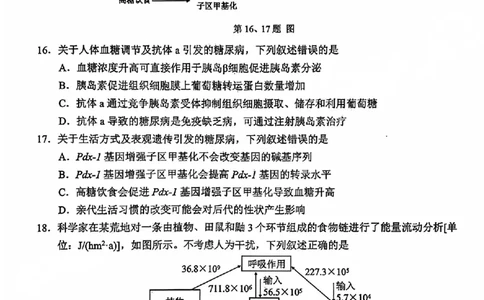 A类2025学年第一学期高二期末质量评价题库生物_2026年02月高二试卷_260208浙江省温州市2025-2026学年高二上学期期末（A卷+B卷）（全）_浙江省温州市2025-2026学年高二上学期期末试题A卷