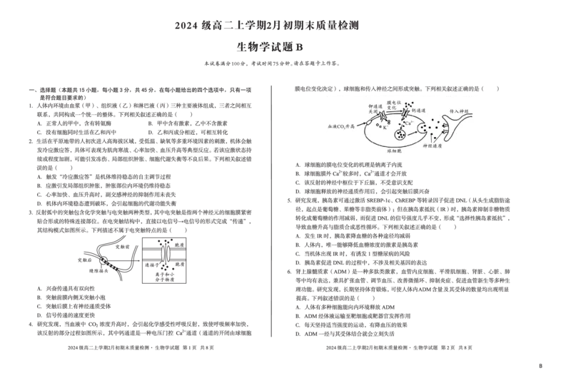2024级高二上学期2月初期末质量检测生物B_2026年02月高二试卷_260214安徽省A10联盟2024级高二上学期2月初期末质量检测（全科）