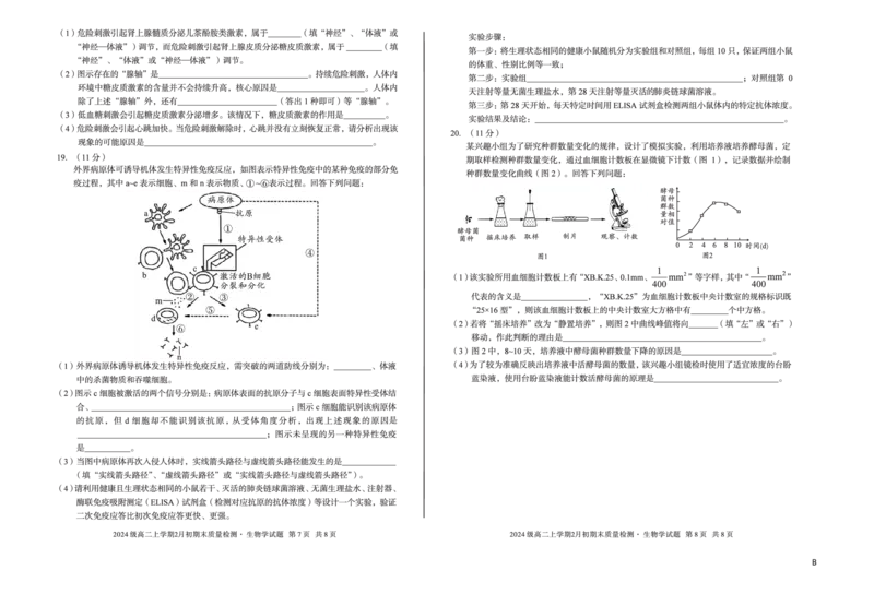 2024级高二上学期2月初期末质量检测生物B_2026年02月高二试卷_260214安徽省A10联盟2024级高二上学期2月初期末质量检测（全科）