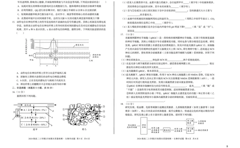 2024级高二上学期2月初期末质量检测生物B_2026年02月高二试卷_260214安徽省A10联盟2024级高二上学期2月初期末质量检测（全科）