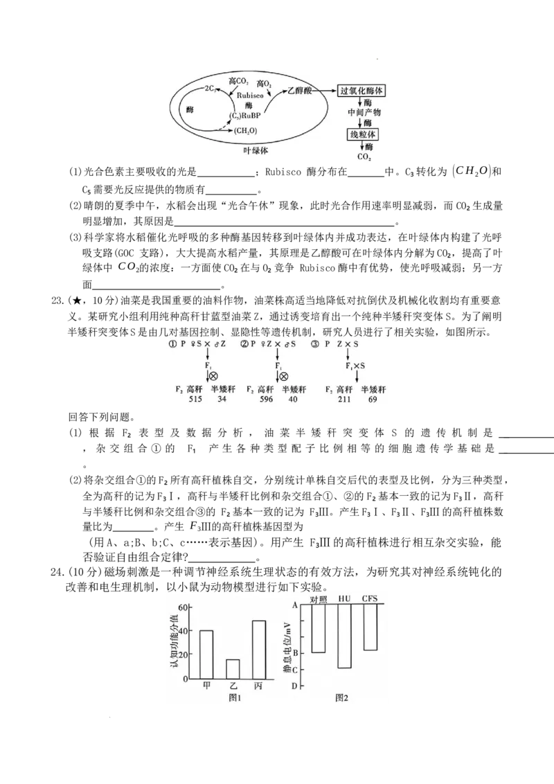 WM_生物试卷（高二入学N）_2026年03月高二试卷_260329湖南省长沙市长郡中学2025-2026学年高二下学期3月阶段检测（全科）_湖南省长沙市长郡中学2025-2026学年高二下学期3月阶段检测生物试题
