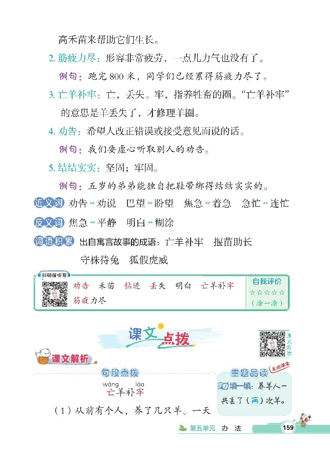 统编版语文2年级下册点拨全解_2026春小学教辅大合集_15-26春《荣德基》系列_26春1-6下语文《点拨全解》
