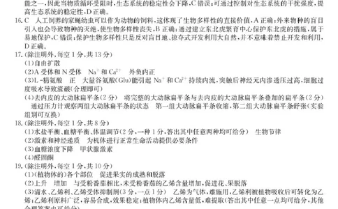 2024级高二第1学期期末考试生物试卷-答案_2026年02月高二试卷_260207陕西省榆林市靖边县靖边中学2025-2026学年高二上学期期末考试