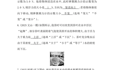 第十讲　浮力_中考复习资料_语数英物化_4物理中考复习_2026年中考复习（更新中）_2026年中考物理一轮复习(1)