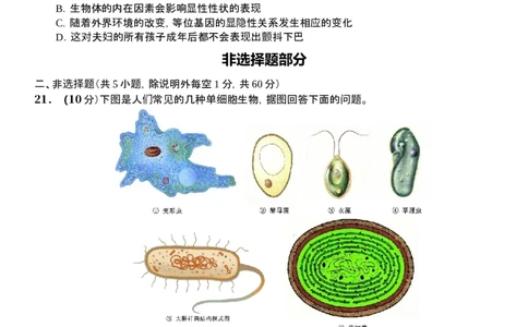 2601+宁波九校联考高一期末生物试卷_2026年02月高一试卷_260213浙江省宁波市九校2025-2026学年高一上学期期末联考（全）