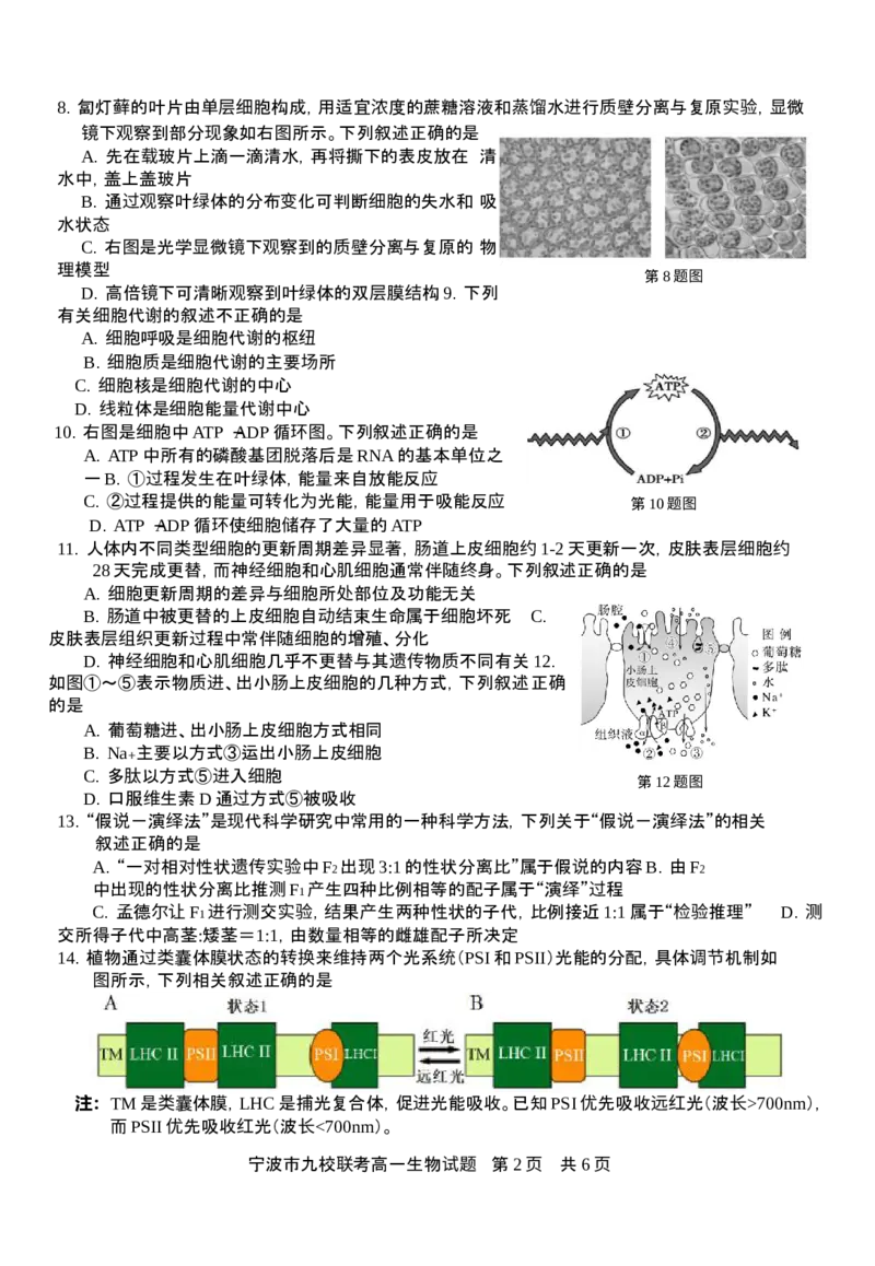 2601+宁波九校联考高一期末生物试卷_2026年02月高一试卷_260213浙江省宁波市九校2025-2026学年高一上学期期末联考（全）