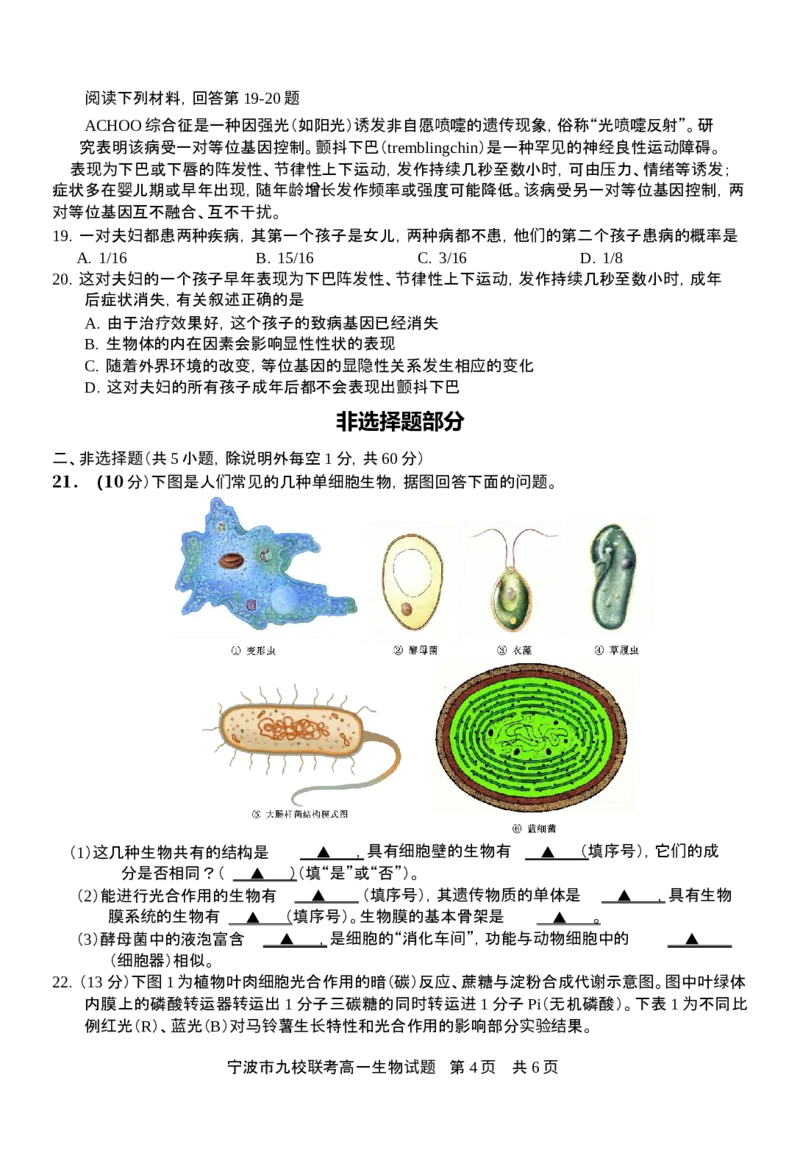 2601+宁波九校联考高一期末生物试卷_2026年02月高一试卷_260213浙江省宁波市九校2025-2026学年高一上学期期末联考（全）