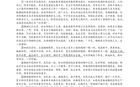 语文中考文学类文本抒情的分类及作用专题复习导学案_中考复习资料_语数英物化_1语文中考复习_2025年中考资料_备考2025中考语文二轮专项复习课件+教案+导学案
