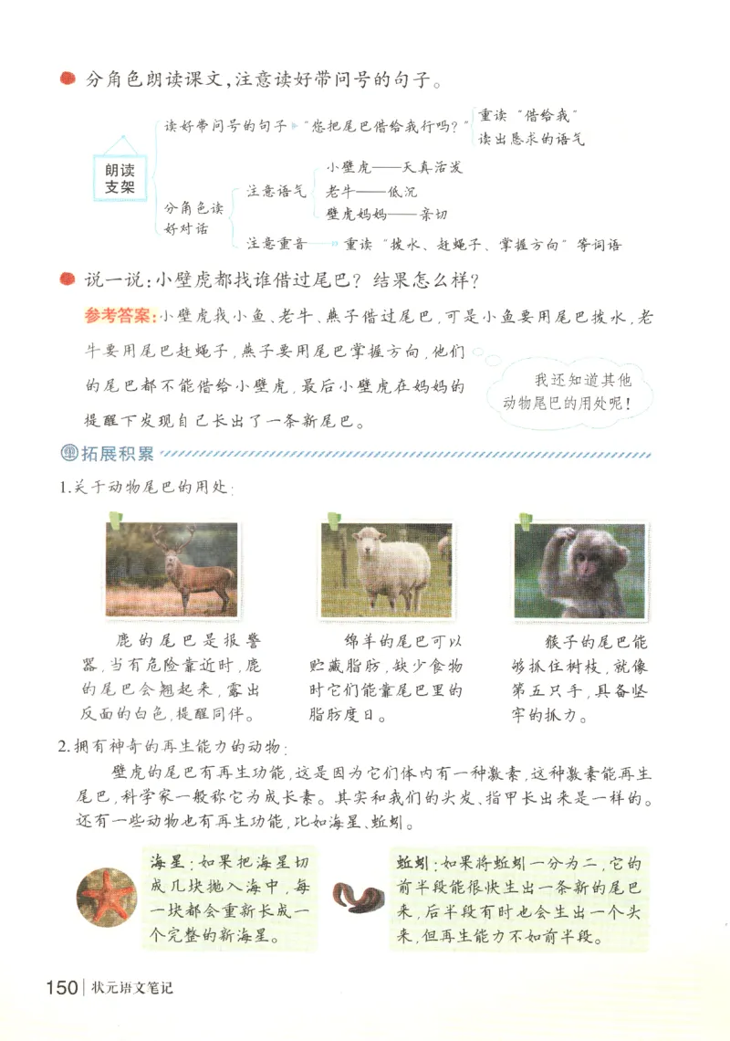 状元语文笔记.语文一年级.下册_2026春小学教辅大合集_3-26春《课堂笔记》系列_小学语文《课堂笔记》1-6年级下册（26春）(2)_《状元笔记》1-6年级下册（25春）