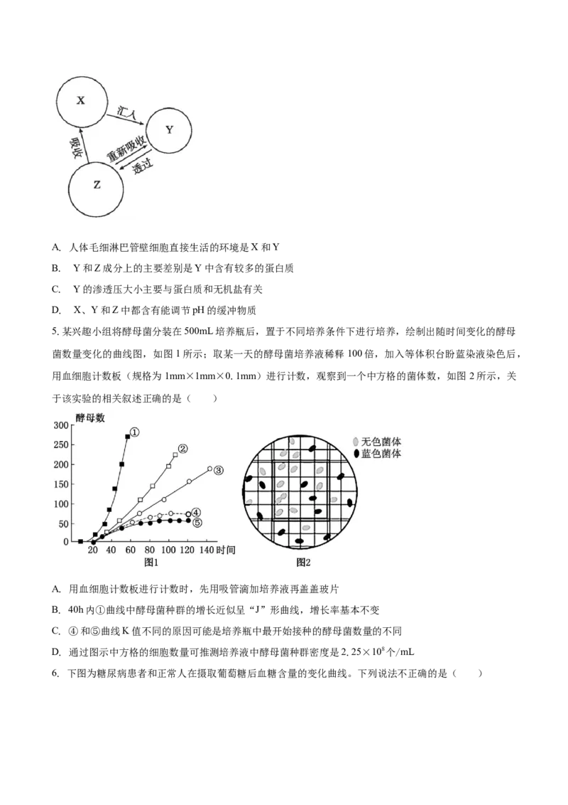安徽省滁州市定远县育才学校2025-2026学年高二（上）1月月考生物试题（含答案）_2026年02月高二试卷_260211安徽省滁州市定远县育才学校2025-2026学年高二（上）1月月考