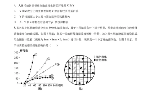 安徽省滁州市定远县育才学校2025-2026学年高二（上）1月月考生物试题（含答案）_2026年02月高二试卷_260211安徽省滁州市定远县育才学校2025-2026学年高二（上）1月月考