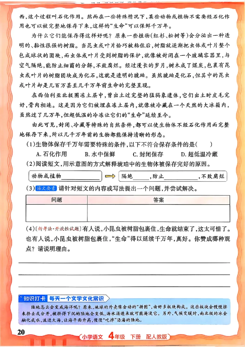 语文王朝霞活页同步练习册4下_2026春小学教辅大合集_8-26春《王朝霞》系列_02.2026春WZX活页同步练习册_26春语文