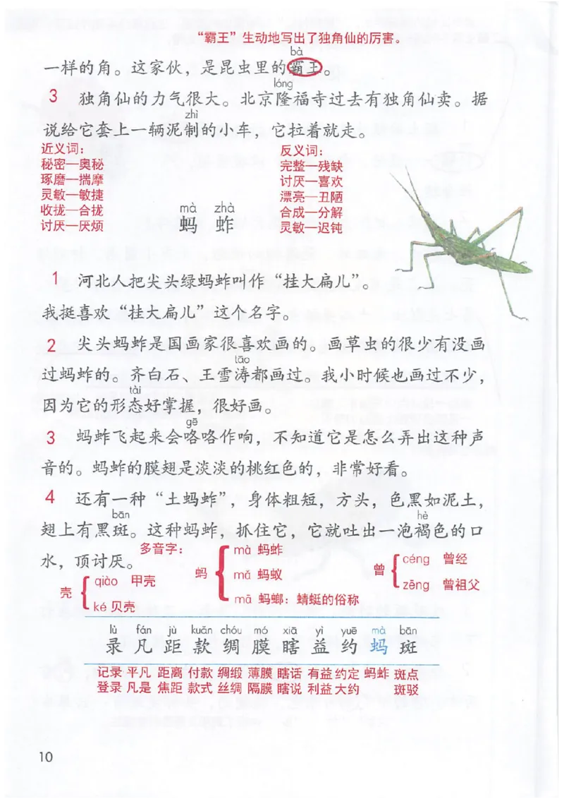 课堂笔记3年级下册_小学《课堂笔记》数学语文英语1-6年级下册_小学语文《课堂笔记》1-6年级下册（26春）_小学语文《课堂笔记》1-6年级下册（26春）_《课堂笔记》1-6年级下册（26春）