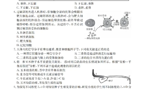 生物学_扫描版_2026年02月高二试卷_260210山西省多校2025-2026学年高二上学期1月月考（全）