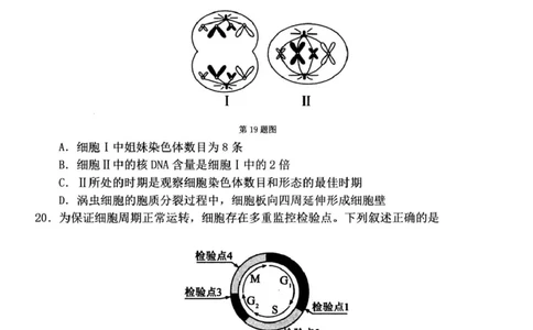 浙江衢州市2025-2026学年高一上学期2月期末生物试题（图片版，含答案）_2026年02月高一试卷_260219浙江衢州市2025-2026学年高一上学期2月期末（全）