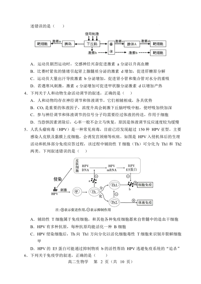 辽宁省重点高中沈阳市郊联体2025-2026学年高二上学期期末生物试卷_2026年02月高二试卷_260201辽宁省重点高中沈阳市郊联体2025-2026学年高二上学期期末（全）