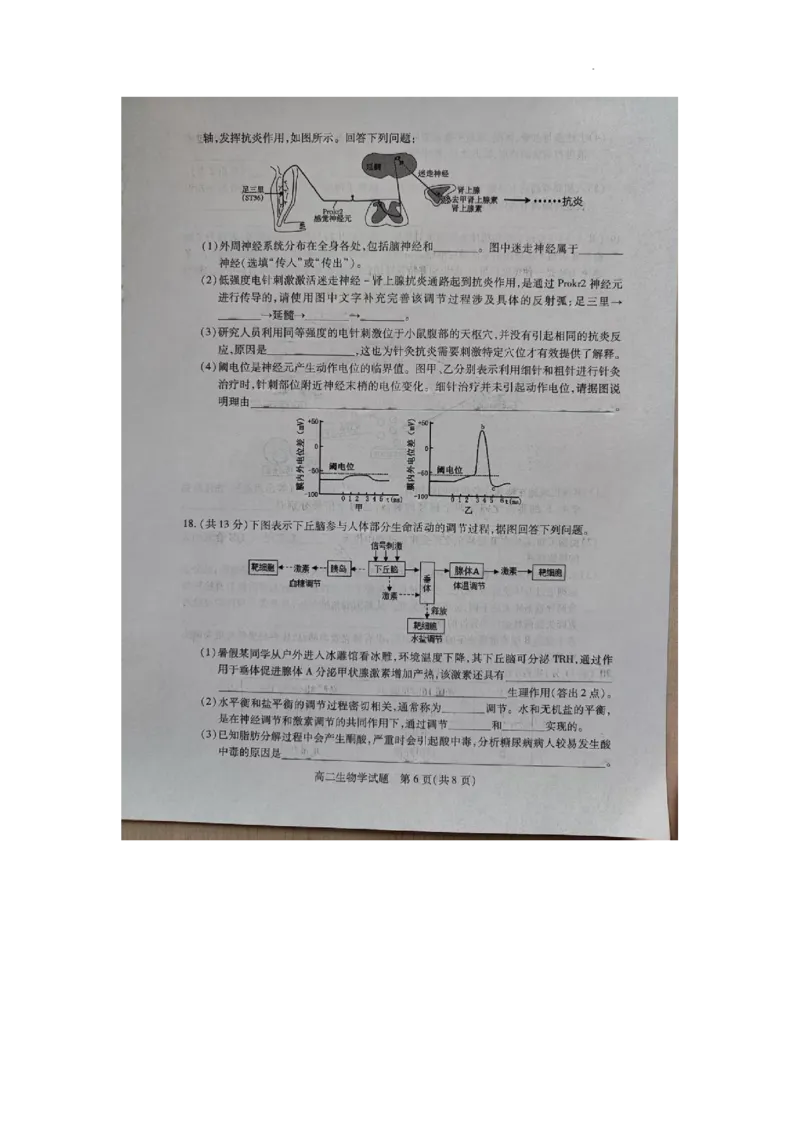 山西省运城市2025-2026学年高二上学期期末生物试题_2026年02月高二试卷_260222山西省运城市2025-2026学年第一学期期末调研测试高二