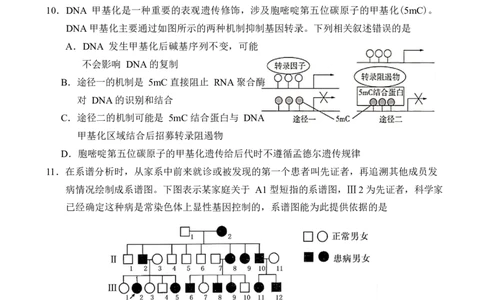 湖南常德市沅澧共同体2025-2026学年高二上学期期末考试生物试卷_2026年02月高二试卷_260215湖南省常德市沅澧共同体2025-2026学高二上学期期末考试