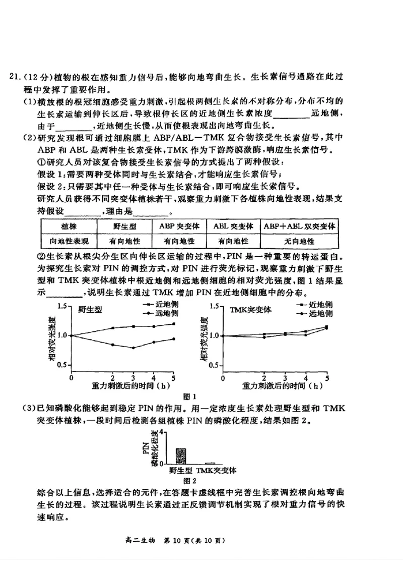 北京市东城区2025-2026学年高二上学期期末考试生物试卷_2026年02月高二试卷_260202北京市东城区2025-2026学年高二上学期期末