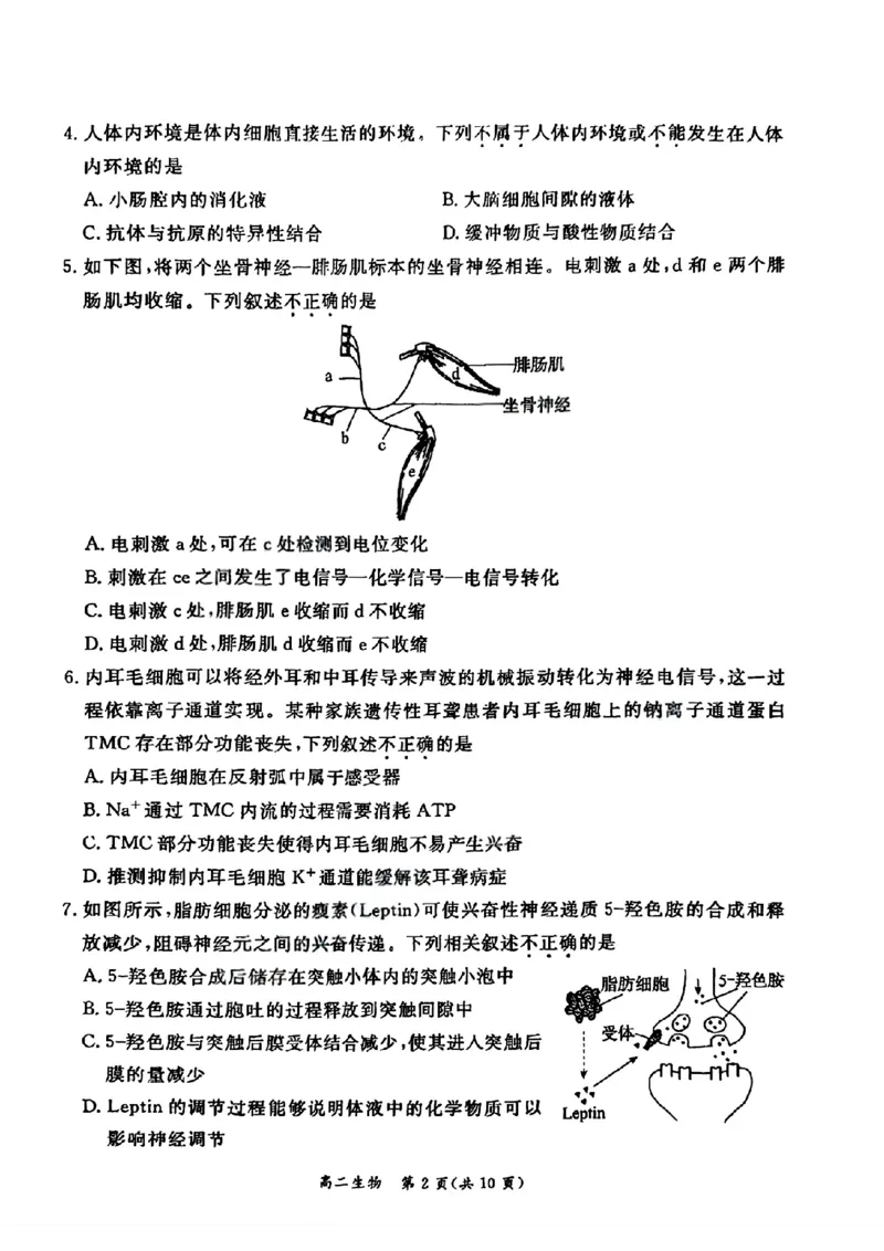 北京市东城区2025-2026学年高二上学期期末考试生物试卷_2026年02月高二试卷_260202北京市东城区2025-2026学年高二上学期期末