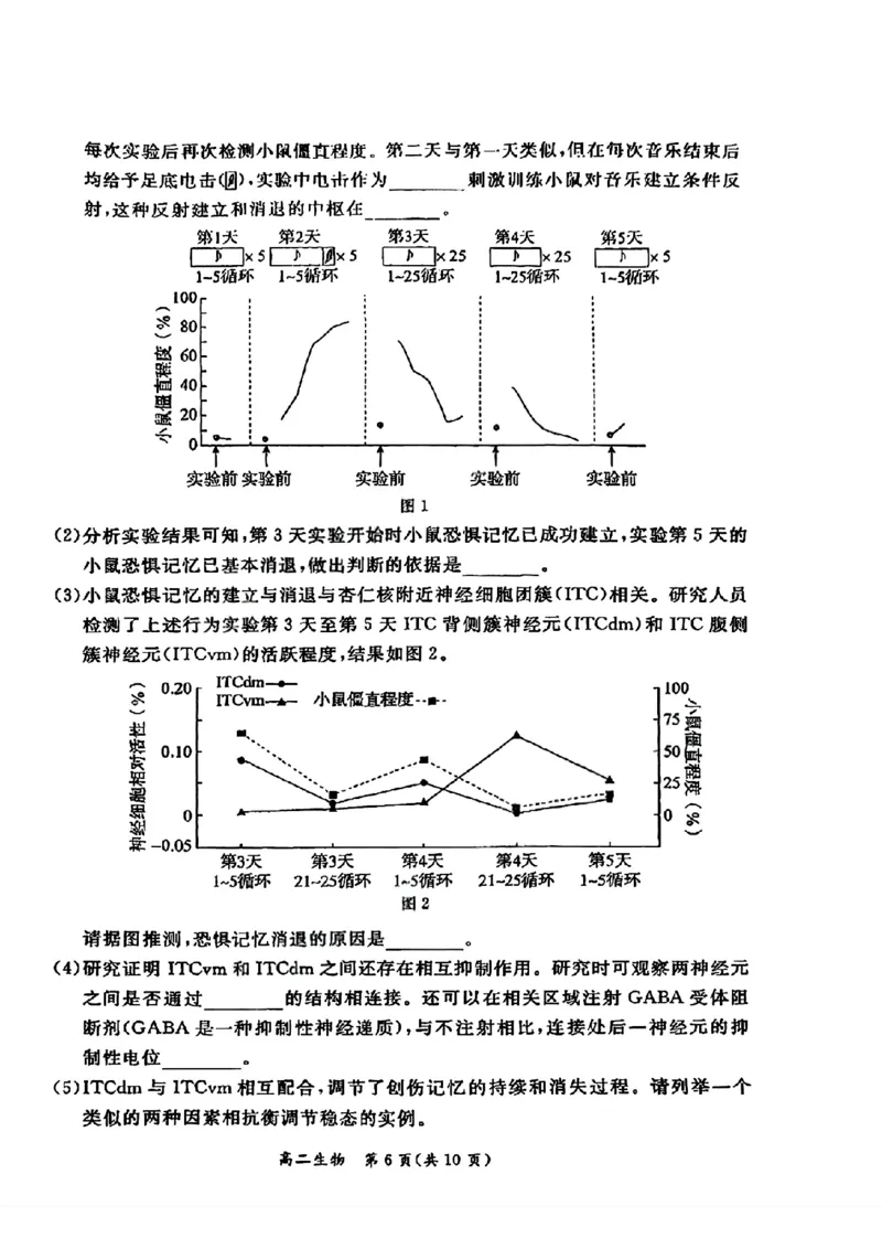 北京市东城区2025-2026学年高二上学期期末考试生物试卷_2026年02月高二试卷_260202北京市东城区2025-2026学年高二上学期期末