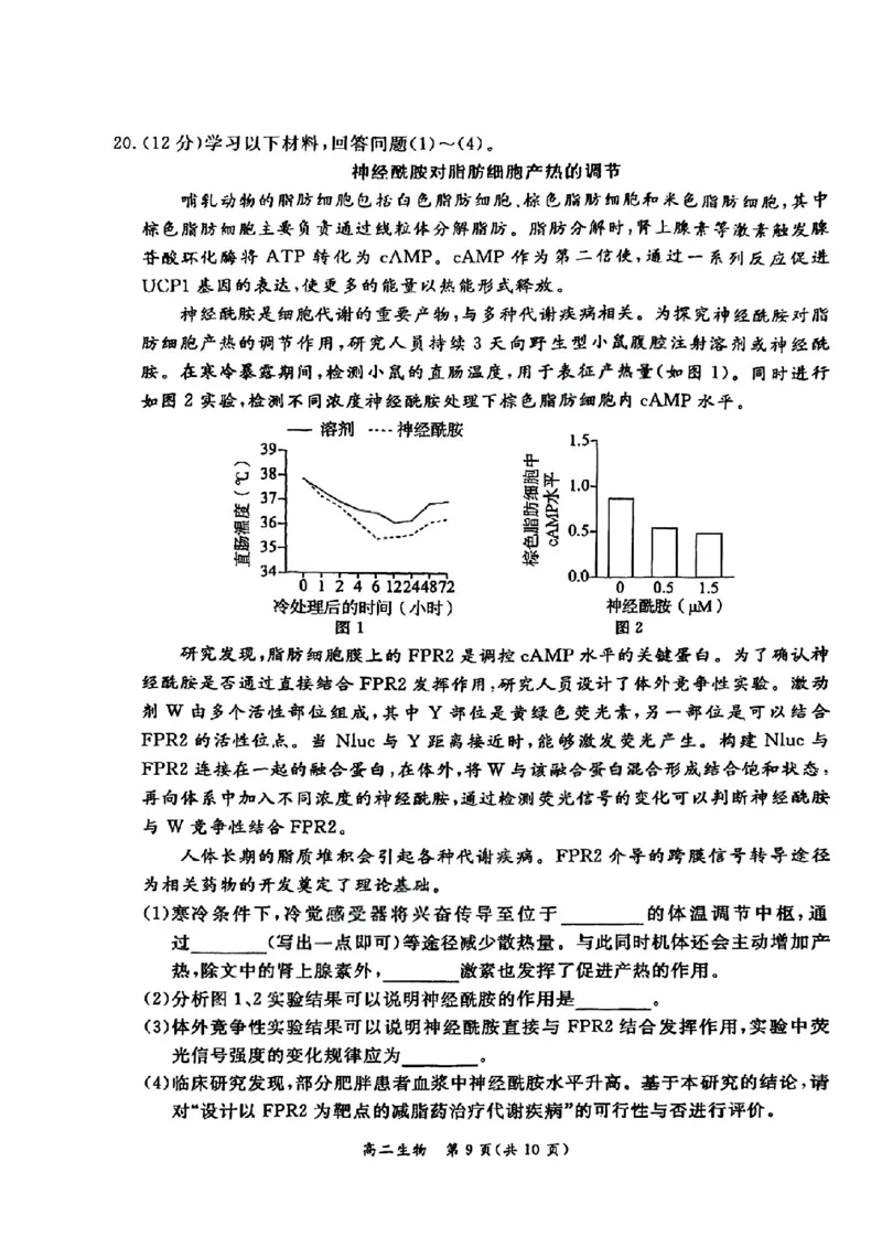 北京市东城区2025-2026学年高二上学期期末考试生物试卷_2026年02月高二试卷_260202北京市东城区2025-2026学年高二上学期期末