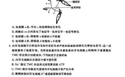 北京市东城区2025-2026学年高二上学期期末考试生物试卷_2026年02月高二试卷_260202北京市东城区2025-2026学年高二上学期期末