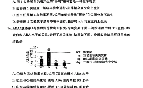 北京市东城区2025-2026学年高二上学期期末考试生物试卷_2026年02月高二试卷_260202北京市东城区2025-2026学年高二上学期期末