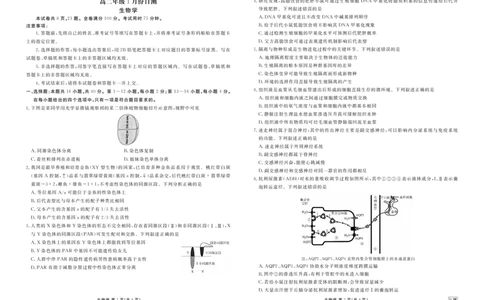 高二年级1月份自测生物正文B版_2026年02月高二试卷_260203广东省衡水金卷2027届高二年级1月份期末自测（全）
